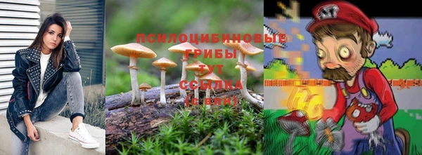 стаф Арсеньев